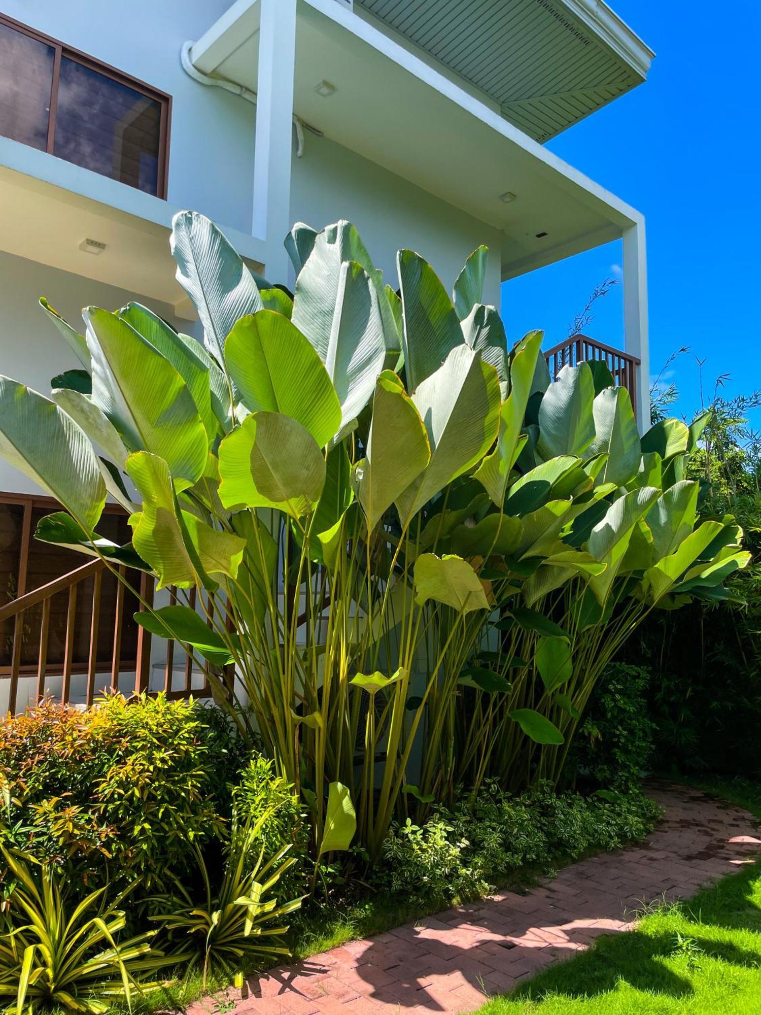 Red Picnic Hostel Panglao Dış mekan fotoğraf
