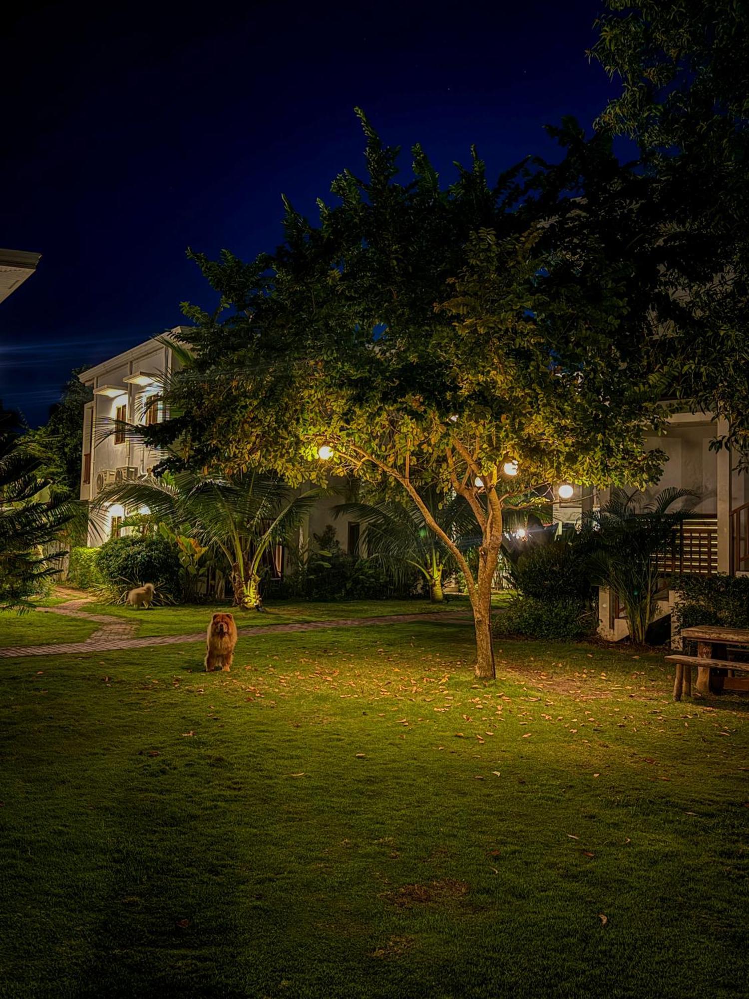 Red Picnic Hostel Panglao Dış mekan fotoğraf